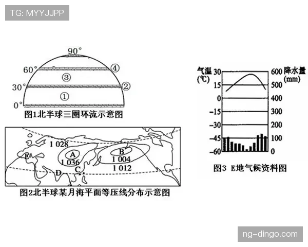 合法冲撞判定标准：裁判依据犯规要素判别公平对抗