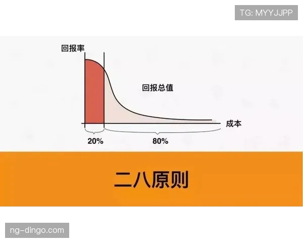 如何准确判定挑战判罚规则的关键要素与应用场景