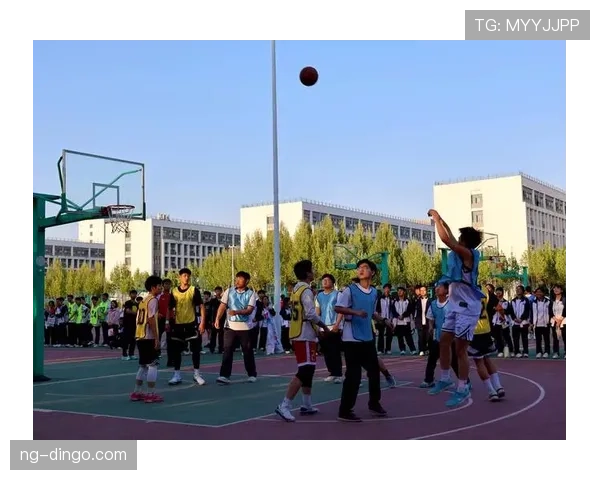 详细解读篮球比赛中前场规则的各项细则及应用场景 详细解读篮球比赛中前场规则的各项细则及应用场景